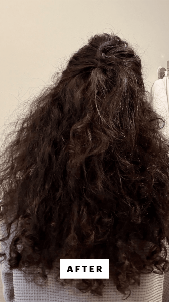 Image may contain Adult Person Animal Canine Mammal Pet and Hair